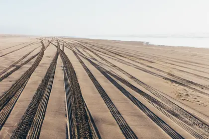 Endless Beach Tracks — 150-piece jigsaw puzzle