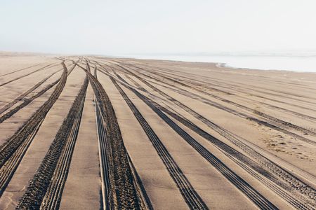 Endless Beach Tracks — 150-piece jigsaw puzzle