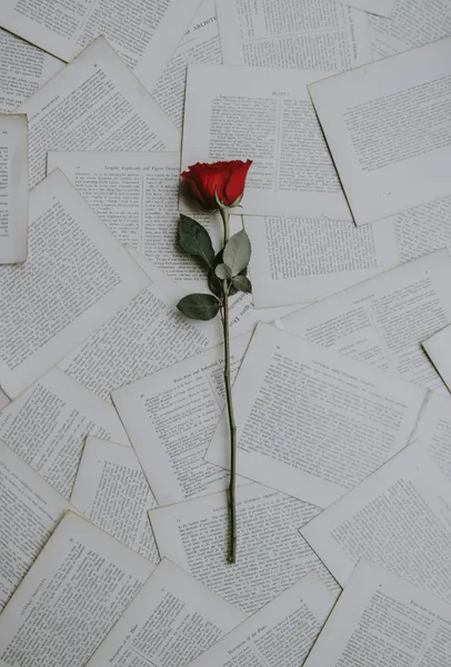 Rose on Pages — 300-piece jigsaw puzzle