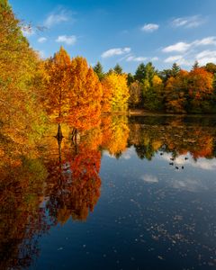Autumn Reflections — 200-piece jigsaw puzzle