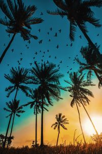 Tropical Sunset Birds — 300-piece jigsaw puzzle