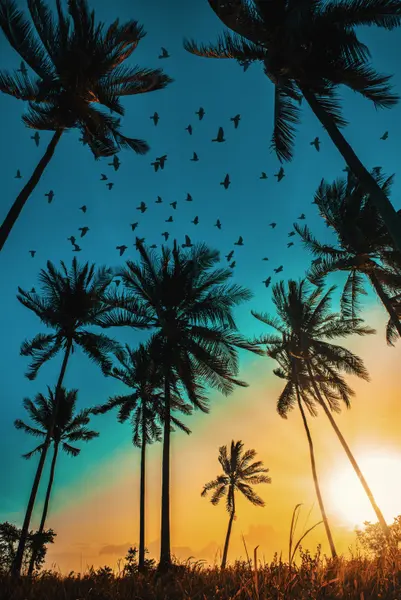 Tropische Sonnenuntergangsvögel — 300-Teile-Puzzle
