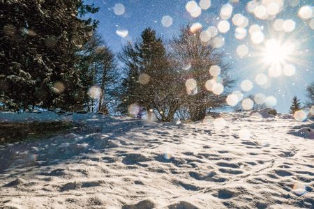 Winter Sunlight Sparkle — 200-piece jigsaw puzzle
