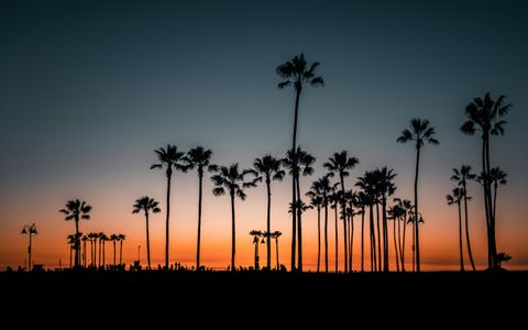 Palm Tree Sunset — 400-piece jigsaw puzzle