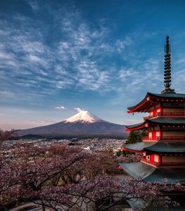 Serenity at Mount Fuji — 150-piece jigsaw puzzle