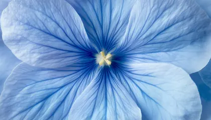 Azure Petal Harmony — 400-piece jigsaw puzzle