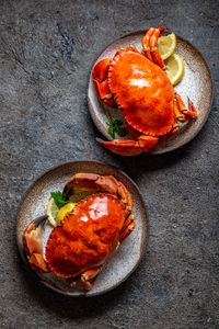 Crab Delight — 500-piece jigsaw puzzle