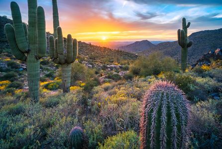Desert Sunset Glow — 150-piece jigsaw puzzle