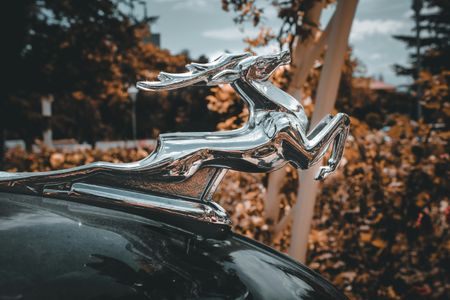 Graceful Chrome Emblem — 500-piece jigsaw puzzle