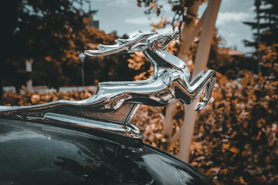 Graceful Chrome Emblem — 500-piece jigsaw puzzle