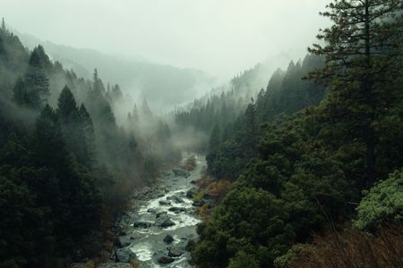 Rivière de forêt brumeuse — puzzle de 300 pièces