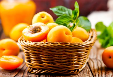 Basket of Apricots — 300-piece jigsaw puzzle