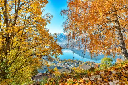 Autumn Lakeside View — 100-piece jigsaw puzzle