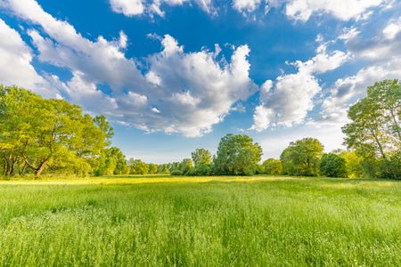 Sunny Meadow Skies — 300-piece jigsaw puzzle
