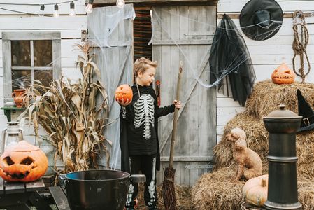 Halloween Barnyard Magic — 64-piece jigsaw puzzle