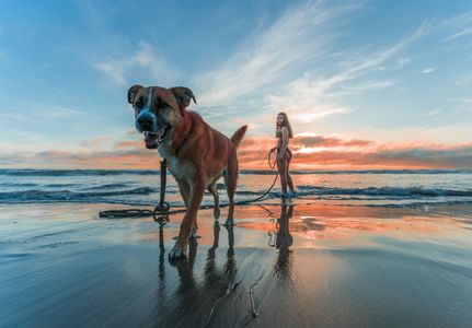Sunset Beach Walk — 150-piece jigsaw puzzle