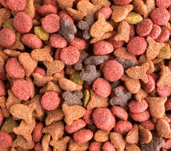 Colorful Pet Kibble — 500-piece jigsaw puzzle