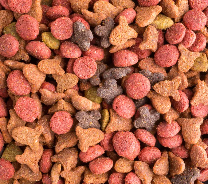 Colorful Pet Kibble — 500-piece jigsaw puzzle
