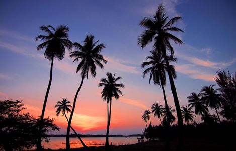 Tropical Sunset Bliss — 100-piece jigsaw puzzle
