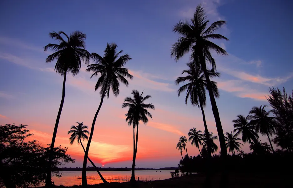 Éxtasis de puesta de sol tropical — rompecabezas de 100 piezas