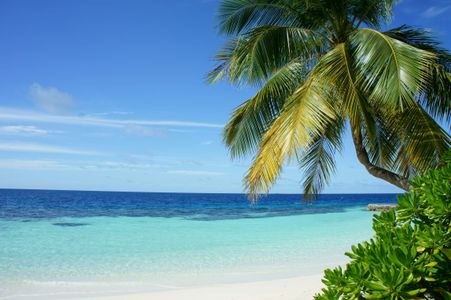 Tropical Beach Paradise — 200-piece jigsaw puzzle