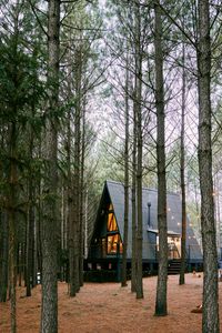Cozy Cabin Retreat — 100-piece jigsaw puzzle