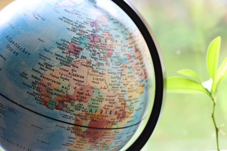 Globe Beside Leaf — 100-piece jigsaw puzzle
