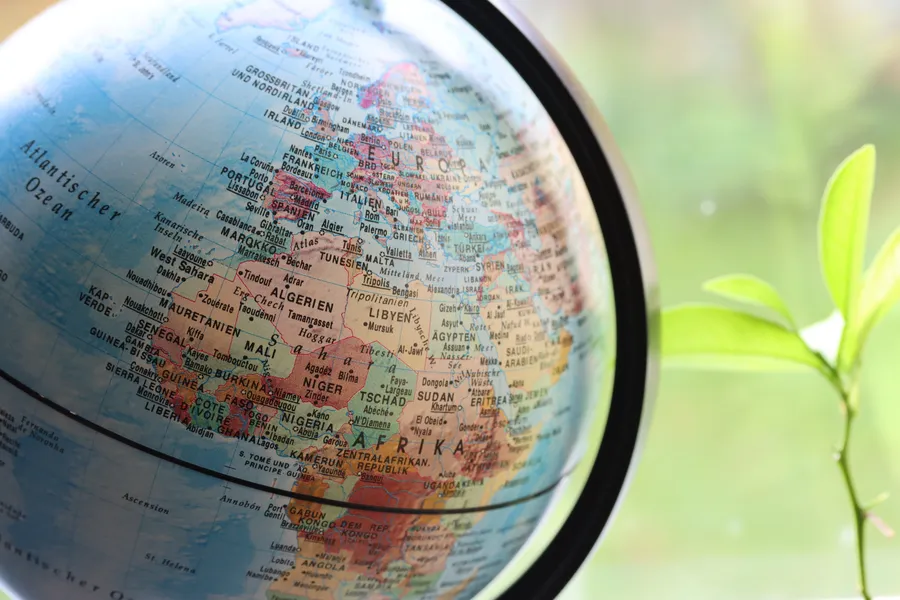 Globe Beside Leaf — 100-piece jigsaw puzzle