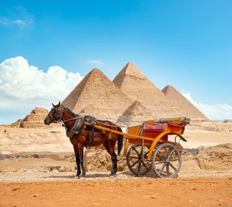 Timeless Journey in Egypt — 300-piece jigsaw puzzle