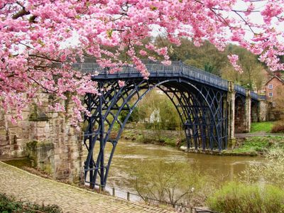 Spring Blossoms Over Bridge — 400-piece jigsaw puzzle