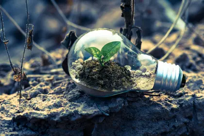 Life in a Bulb — 200-piece jigsaw puzzle