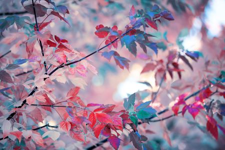 Dreamy Autumn Canopy — 150-piece jigsaw puzzle