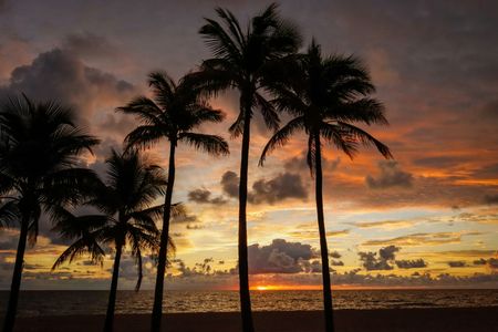 Tropical Sunset Splendor — 100-piece jigsaw puzzle