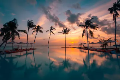 Palm Trees By Sunset Pool — 84-piece jigsaw puzzle