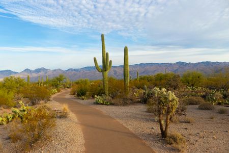 Desert Pathway Serenity — 150-piece jigsaw puzzle
