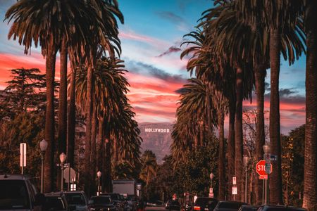 Sunset in Hollywood — 100-piece jigsaw puzzle