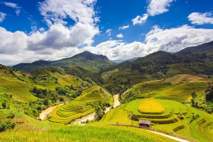 Terraced Fields Serenity — 400-piece jigsaw puzzle
