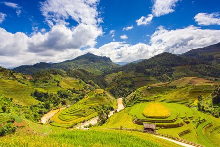 Terraced Fields Serenity — 400-piece jigsaw puzzle
