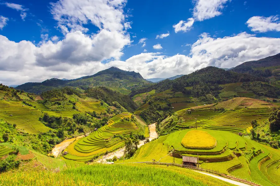 Terraced Fields Serenity — 400-piece jigsaw puzzle
