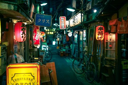Japanese Night Alley — 200-piece jigsaw puzzle