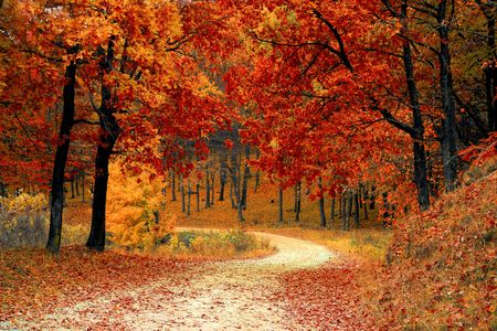 Autumn Pathway — 150-piece jigsaw puzzle
