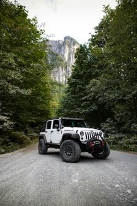 Jeep Adventure Trail — 100-piece jigsaw puzzle