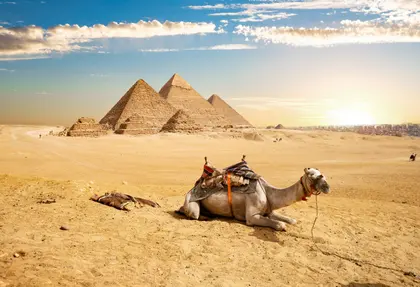 Camel by Pyramids — 500-piece jigsaw puzzle