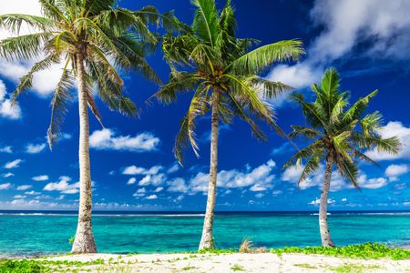 Tropical Beach Paradise — 500-piece jigsaw puzzle
