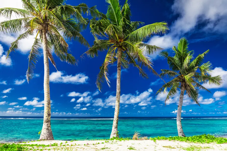 Tropical Beach Paradise — 500-piece jigsaw puzzle