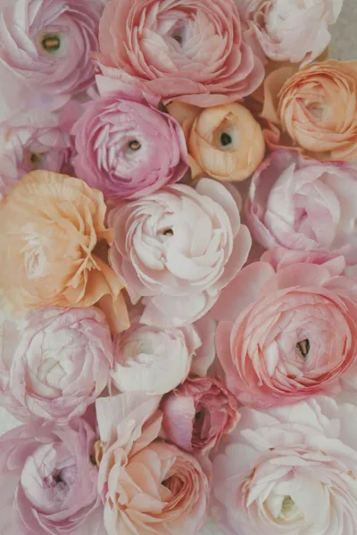 Fiori in pastello — puzzle da 200 pezzi