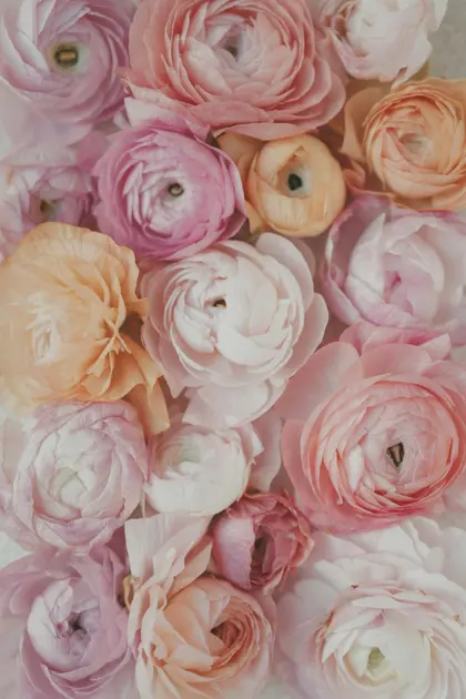Blossoms in Pastel — 200-piece jigsaw puzzle