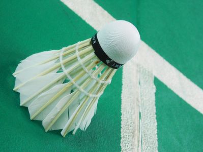 Shuttlecock on Court — 300-piece jigsaw puzzle