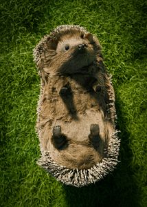 Hedgehog Relaxation — 500-piece jigsaw puzzle