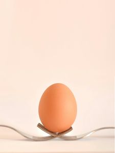 Egg on Forks — 100-piece jigsaw puzzle
